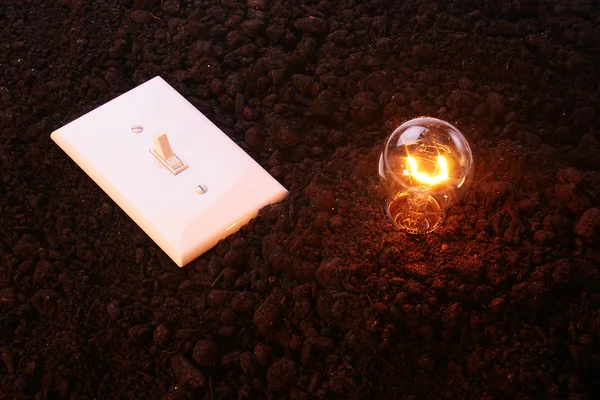 전기 소켓 전구 — 스톡 사진
