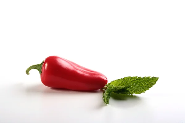 Hot red pepper — Stock fotografie
