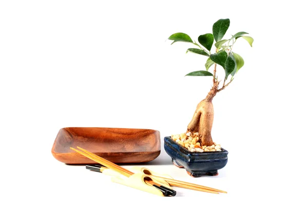 Bonsai och plåt — Stockfoto