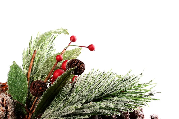 Decoratieve pine branch — Stockfoto