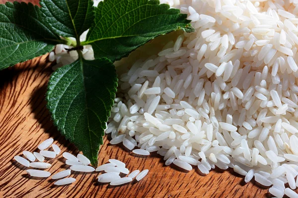 Рисовая мята — стоковое фото