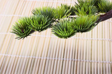 Japanese pine clipart