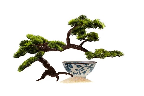 Bonsai and teabowl — Stock Photo, Image