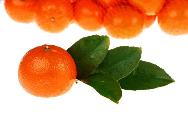 Mandarinas envasadas — Foto de Stock