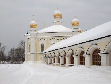 Novo-Tikhvin female monastery. clipart