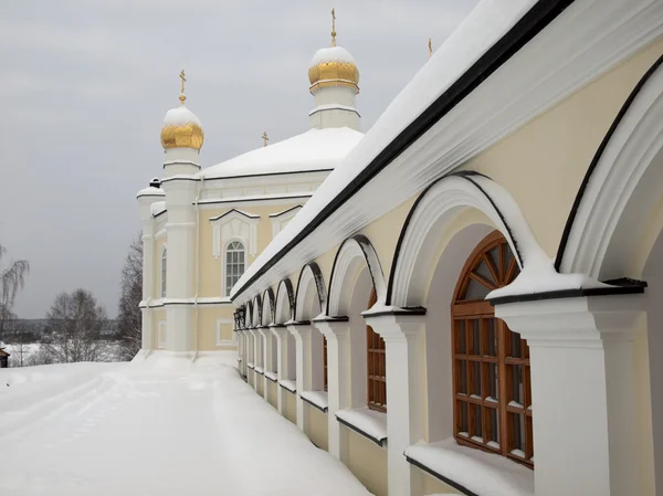 Monasterio femenino Novo-Tikhvin . —  Fotos de Stock