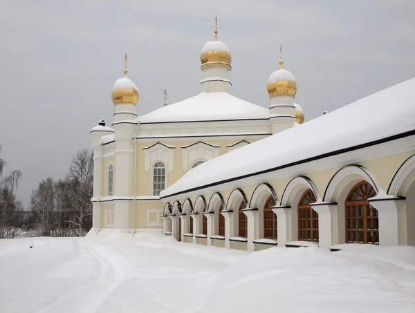 Novo-tikhvin kvinnliga kloster. Royaltyfria Stockfoton
