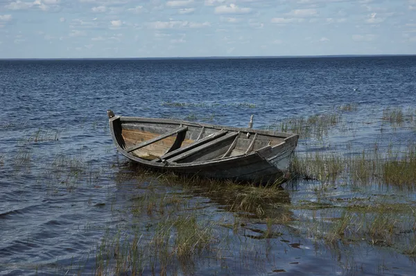 Velho barco de madeira perto da margem do lago — Fotografia de Stock