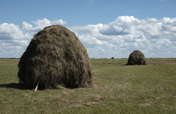 Два стога сена на лугу — стоковое фото