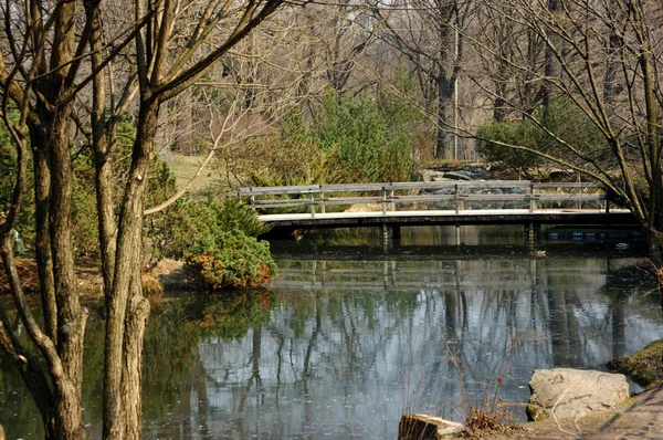 Puente de madera en jardín japonés — Foto de Stock