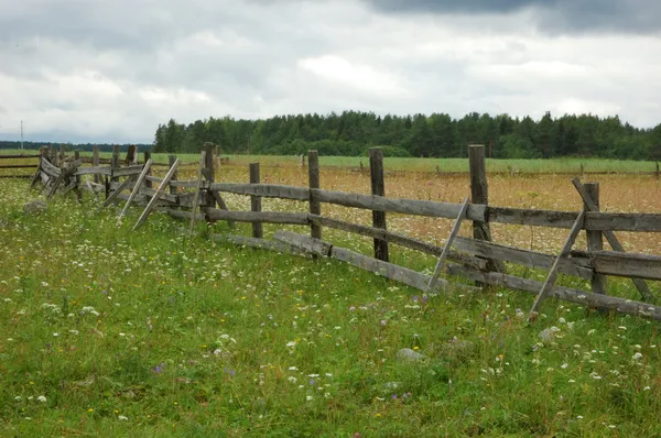 Oud houten hek in het veld — Stockfoto