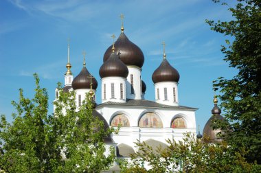 Cathedral's cupola in Dmitrov clipart