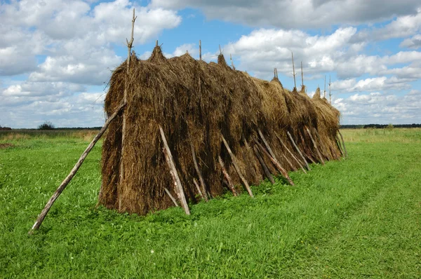 Большой стог сена в поле — стоковое фото