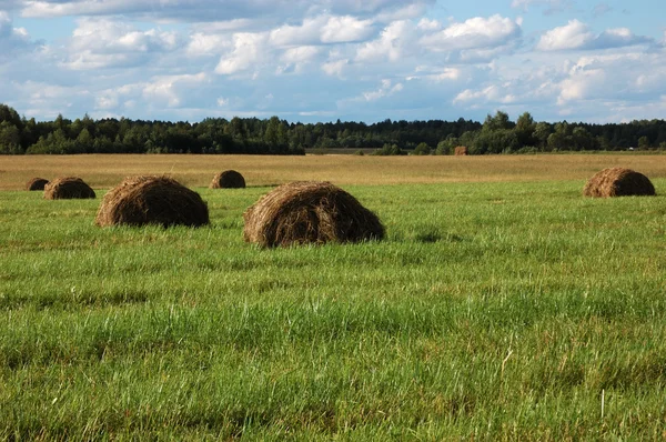 Haycock on the meadow in the evening — Stock Photo, Image
