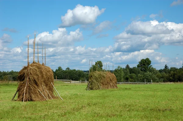 Большие стоги сена на лугу — стоковое фото