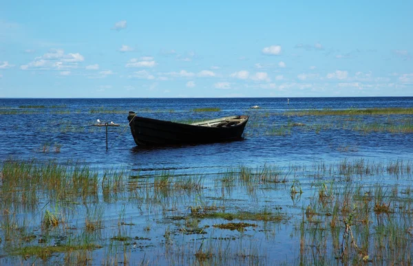 Träbåt nära sjön banken — Stockfoto