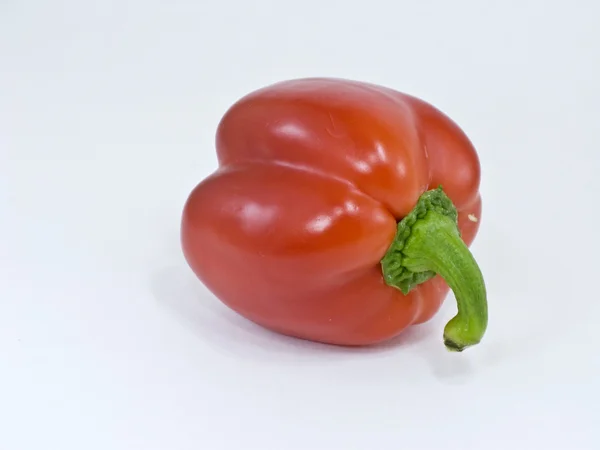 Červená paprika na bílém pozadí — Stock fotografie
