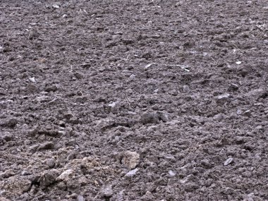 Fallow ploughed field background clipart