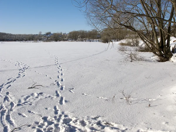 인간의 발자국과 얼어붙은 연못 — 스톡 사진