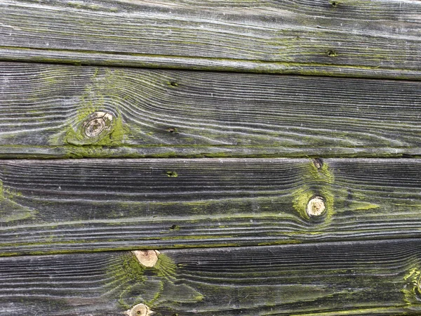 Zvětralé zeleně natřené dřevěné stěny — Stock fotografie