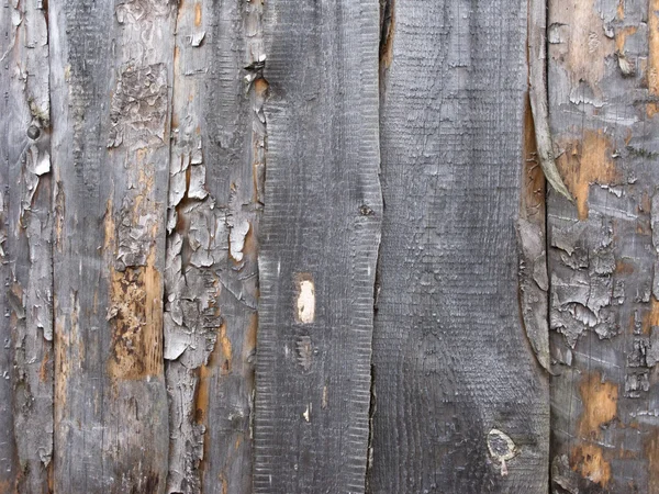 Fondo de madera áspera con corteza — Foto de Stock