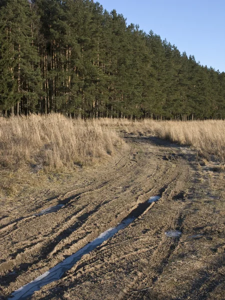 Загородная дорога на краю зимнего леса — стоковое фото
