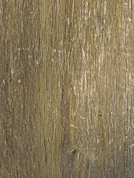 Gamla väderbitna naturlig trä bakgrund — Stockfoto