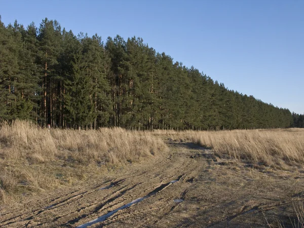 Estrada terrestre na borda da floresta de inverno — Fotografia de Stock