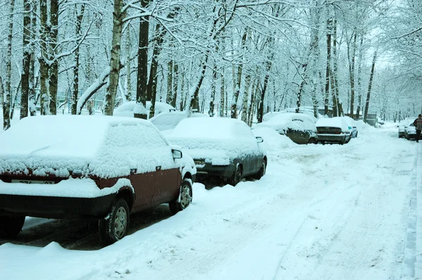 Автомобили под снегом — стоковое фото
