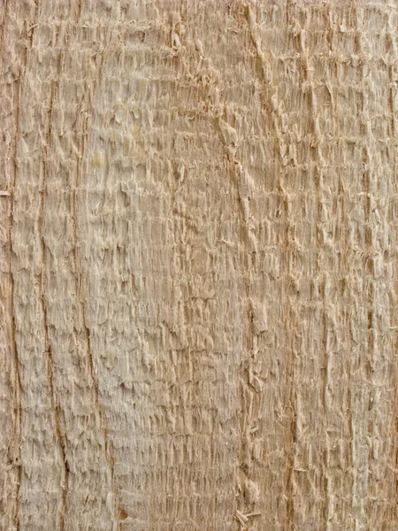 木板の背景 — ストック写真