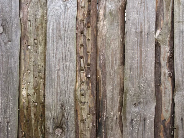 Ruwe natte houten achtergrond — Stockfoto
