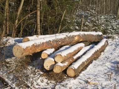 Pile of logs under snow clipart