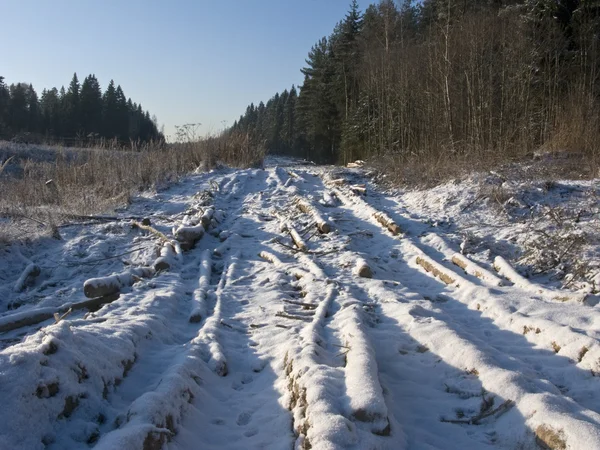 Donmuş toprak yol — Stok fotoğraf