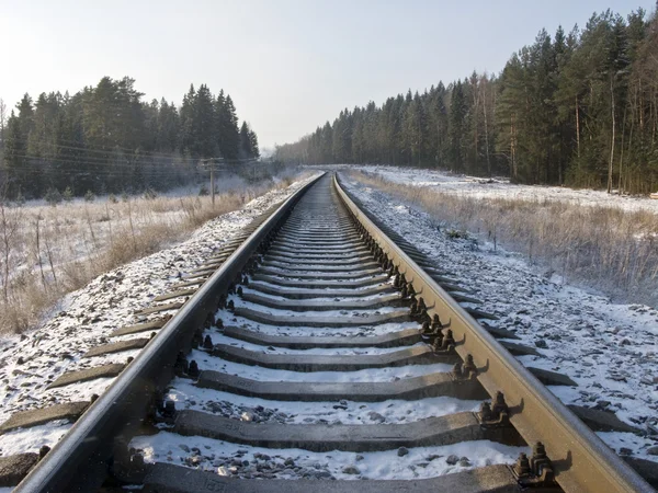 Binario ferroviario nella foresta invernale — Foto Stock