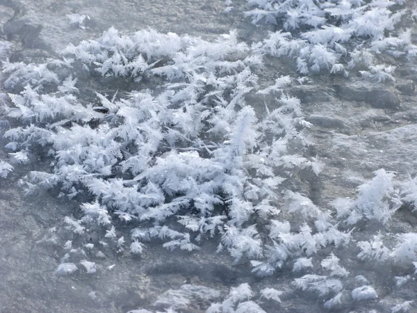 氷表面の背景 — ストック写真