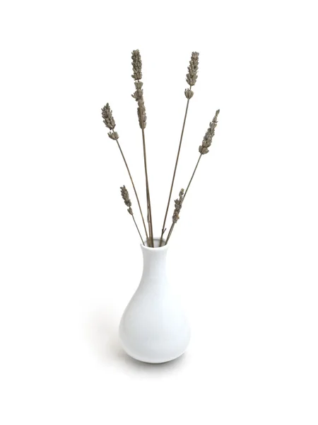 stock image Dry lavender in vase