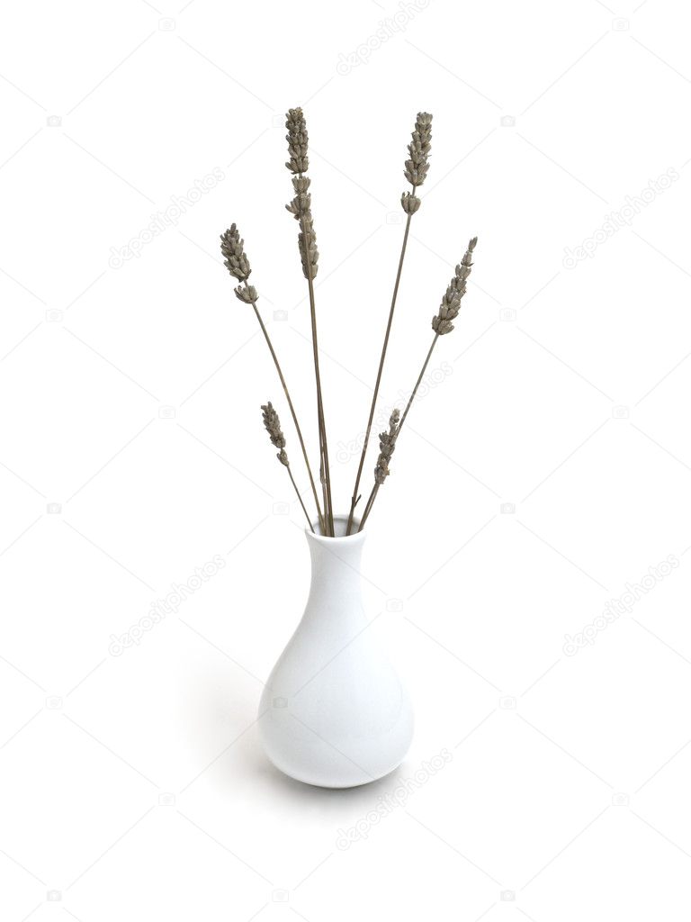 Dry lavender in vase