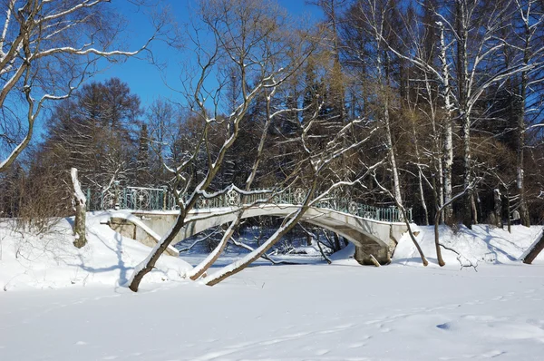 Zamarzniętym stawie z mostu w winter park — Zdjęcie stockowe