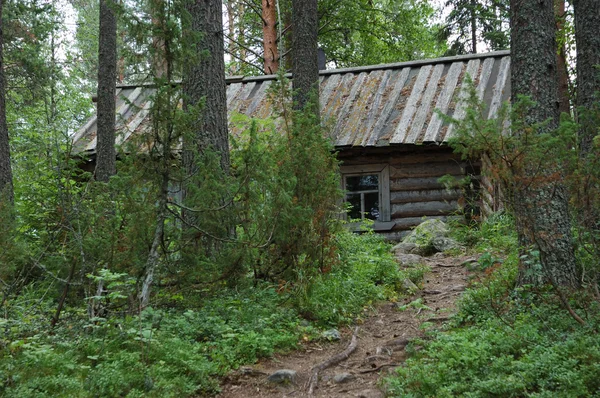 森林里的小木屋 — 图库照片