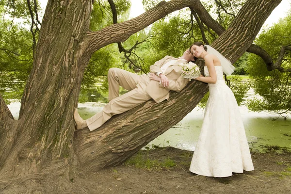 Recém-casados — Fotografia de Stock