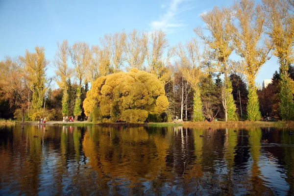 stock image Autumn park