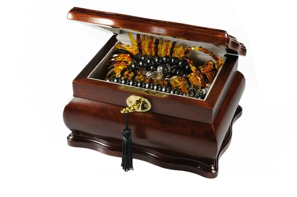 Jeweller casket with amber necklace, bla — Stock Photo, Image