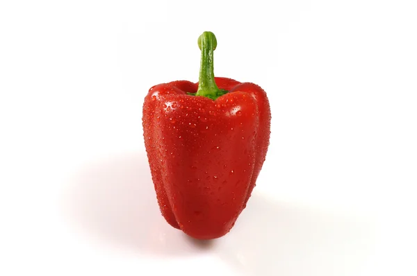 Rode paprika in water druppels op geïsoleerde w — Stockfoto