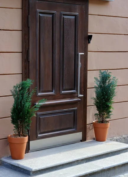 Drzwi z drewna Zdjęcie Stockowe