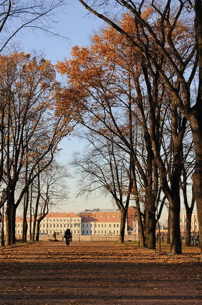 stock image Autumn park avenue