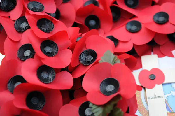 Remembrance Day — Stock Photo, Image