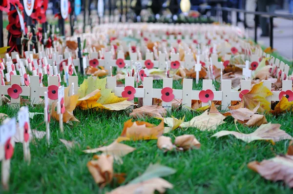 Poppy Day crosses in Westminster Abbey — Stock Photo, Image