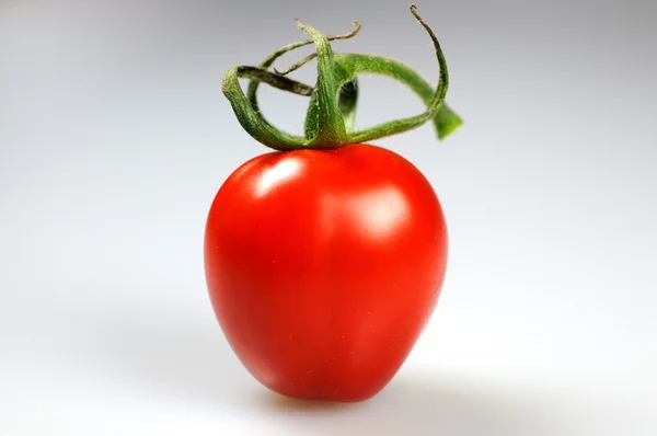 Single Cherry Tomato Stock Photo