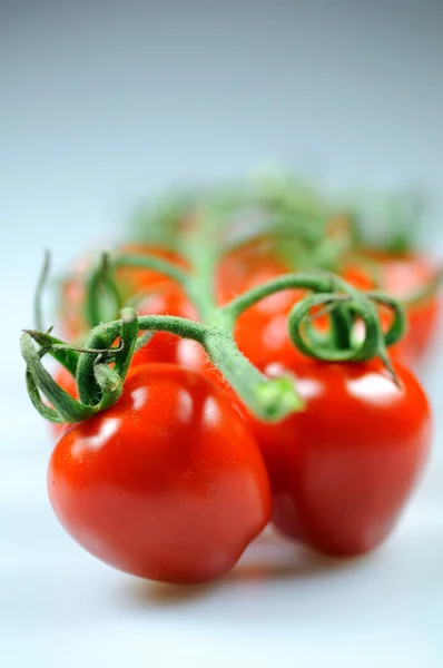 Cherry tomaten Stockafbeelding