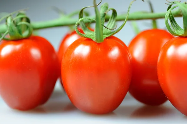 Tomates cereja Fotografia De Stock